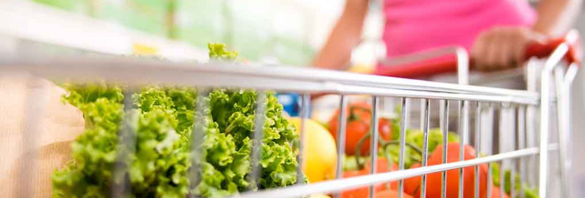 America’s Food Lifelines: 20 Largest Food Banks Ready to Help Amid November SNAP Uncertainty