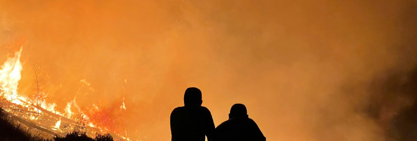 Who Qualifies for FEMA Disaster Assistance After California Wildfires?